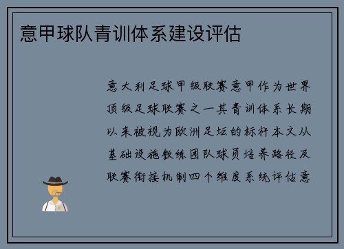 意甲球队青训体系建设评估